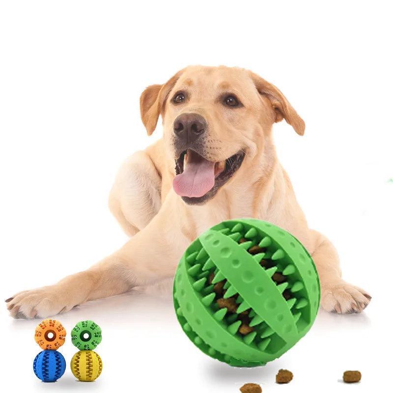 PawClean Biter - Purovolution