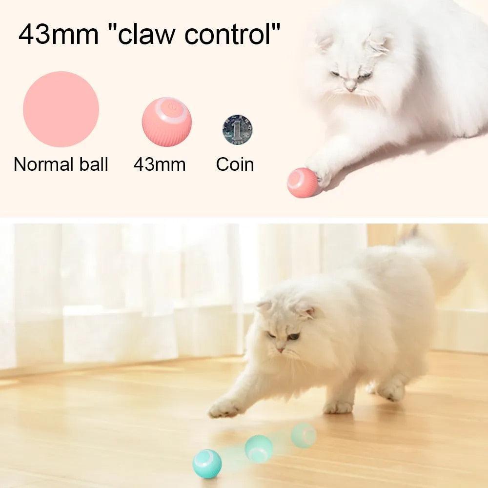 CatPlayBall - Purovolution