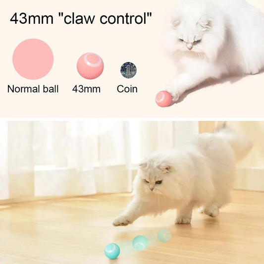 CatPlayBall - Purovolution