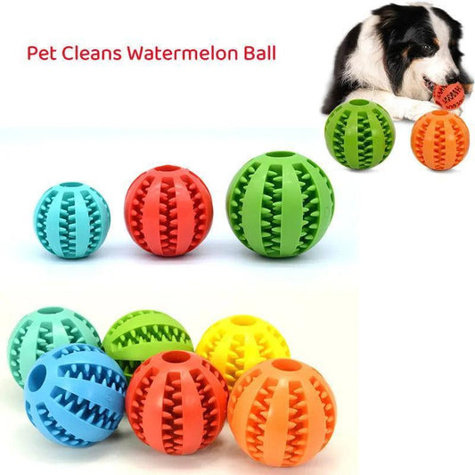 PawClean Biter - Purovolution