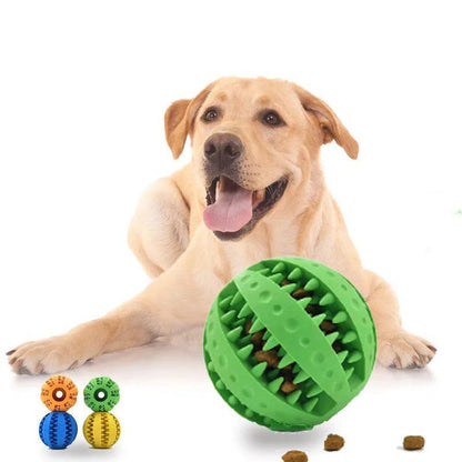 PawClean Biter - Purovolution